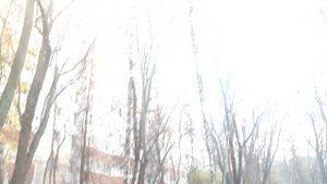 магическое 🧙 солнечное ☀️ утро 🌄 5 ноябряот волшебника