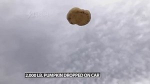 Фермер решил избавиться от машины, на которой он проездил почти 35 лет, весьма необычным способом