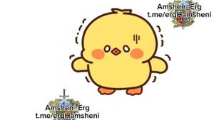 Հավիգնիս (цыплята)