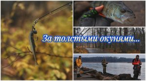 #микроджиг #наноджиг #мормышинг  | Поездка за толстыми окунями |
