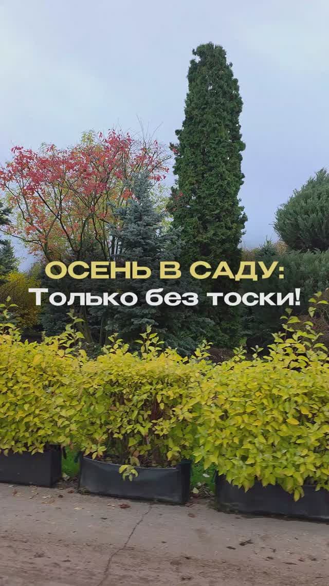 Сад осенью стал скучным?