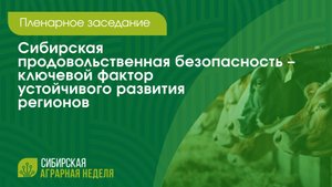 Пленарное заседание «Сибирская продовольственная безопасность» | ОТС LIVE — прямая трансляция