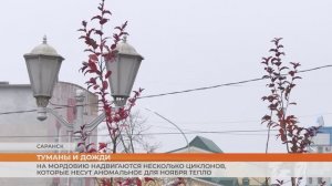 Тепло, как в октябре