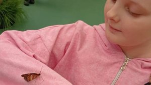 Бабочки,  змеи и до. насекомые. 
ноябрь 2025г.