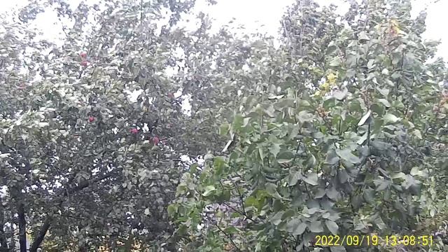 БЕСПЛАТНАЯ ГОРЯЧАЯ ВОДА НА ДАЧИ АГРЕГАТ СТОИТ НА КРЫШИ СМОТРИ