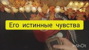 его истинные чувства ко мне таро расклад онлайн