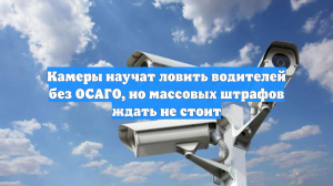 Камеры научат ловить водителей без ОСАГО, но массовых штрафов ждать не стоит