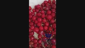 Оптический фотосепаратор OPN