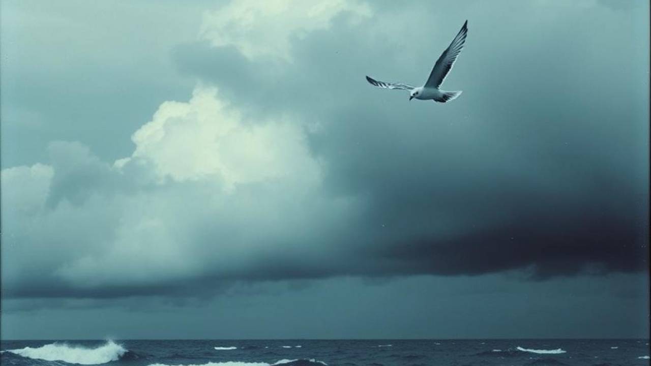 Ноябрь  _  November