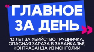 Главное за день: 13 лет за убийство грудничка, опасная зараза в Забайкалье, контрабанда из Монголии