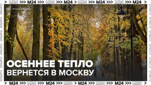Температура воздуха достигнет 10 градусов в Москве в выходные - Москва 24