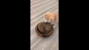 Все для животных.Читай описание