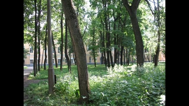 Москва Достоевского 30 июня 2009