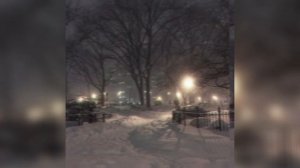 Ваня Дмитриенко "ШËЛК" Песня (делала я)