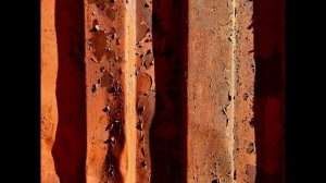 Открытие фотовыставки Максима Киреева "Поверхность"