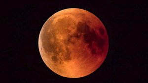 Бобровая Луна взойдёт над Ставропольем