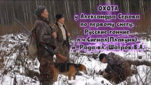 Охота у Александра Серова по первому снегу. Русские гончие Сигнал(Плакуня) и  Рада вл. Шатров В.А.