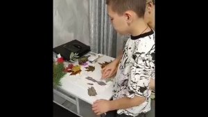 картина из осенних листьев Торгашов Кирилл