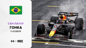 Гонка | Гран-при Сан-Паулу | Сезон 2025 | С комментариями Андрюса Люткявичюса | РейсКаст