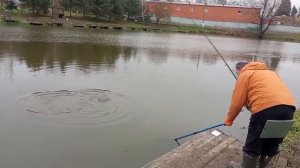 Светлые Горы Форель2 06.11.2025г.