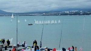 Геленджик. Регата. Красиво плывут)