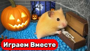 СТРАШНЫЙ ЛАБИРИНТ С ПРИВЕДЕНИЯМИ И ЛОВУШКАМИ ДЛЯ ХРАБРОГО ХОМЯКА 🐹 ВИДЕО ДЛЯ ДЕТЕЙ ПРО ХОМЯКА