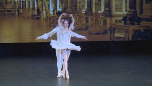 В Рязани торжественно открыли театр балета