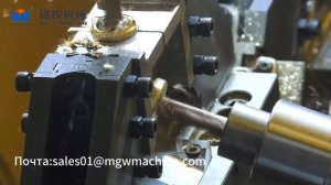 Rotary Transfer Machine for Bibcock