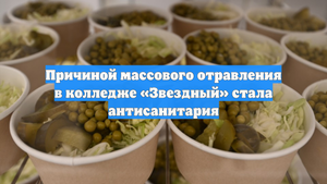 Причиной массового отравления в колледже «Звездный» стала антисанитария