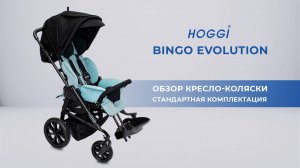 Кресло-коляска для детей с ДЦП BINGO Evolution HOGGI, Германия