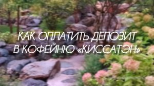 Как оплатить депозит в кофейню «Киссатэн» в Краснодаре✅