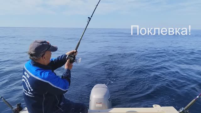 Новый способ ловли троллингом с заглубителем "Халуай". Сима, горбуша, кета, окунь ... смотреть онлайн