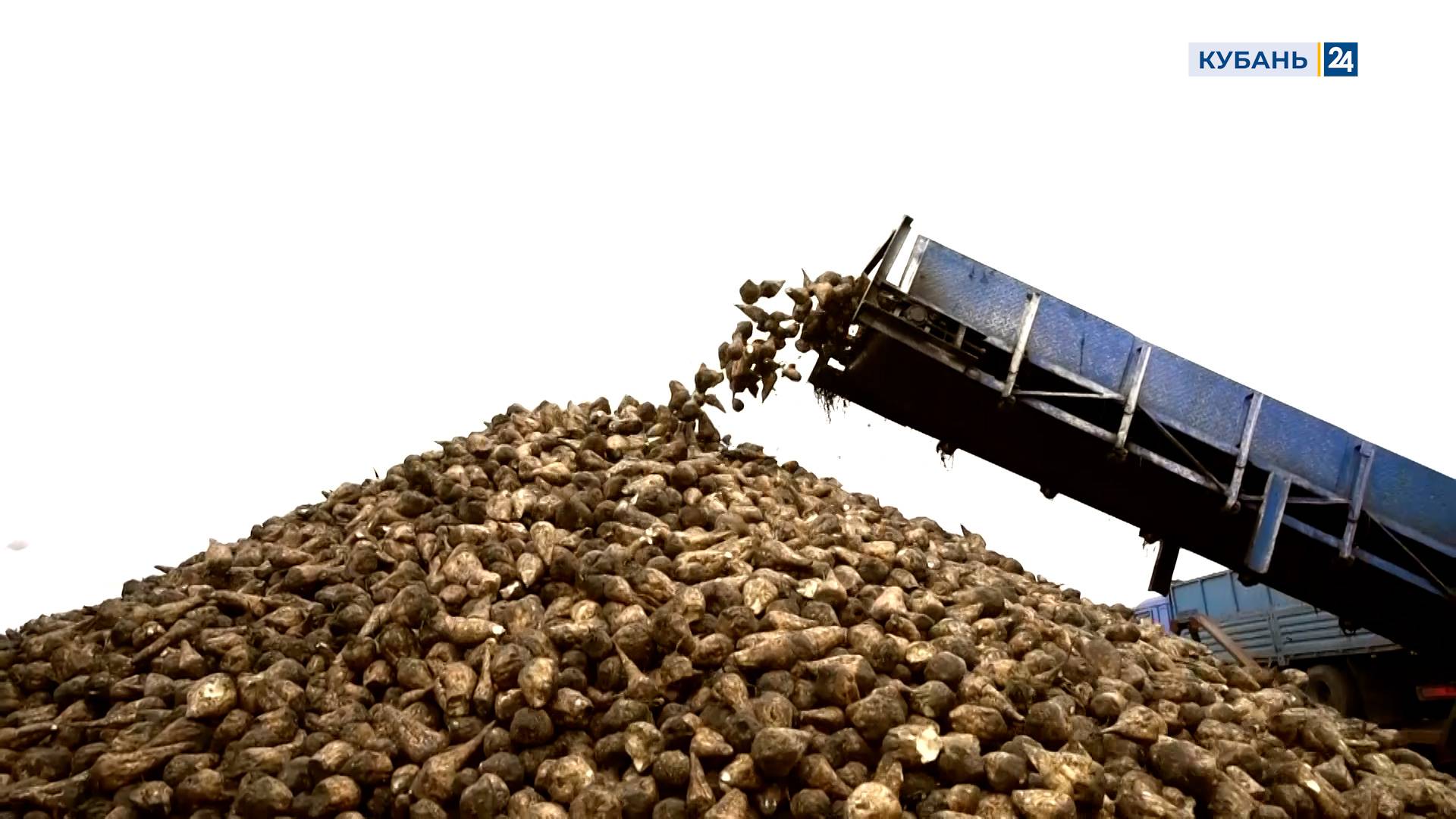 Мир сельского хозяйства №86 | Свёкла 14.10.25