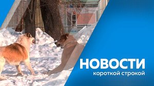 КОРОТКИЕ НОВОСТИ  06.11.25