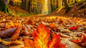 Желаю Доброго ДНЯ! ОЧЕНЬ КРАСИВАЯ МУЗЫКАЛЬНАЯ ВИДЕО ОТКРЫТКА