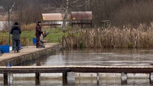 Поимки форели !!!