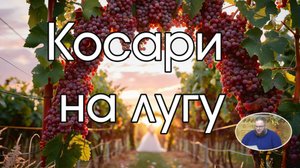 Косари на лугу  - пение с Ильёй Матвейчук