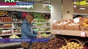 Управление Роспотребнадзора по Нижегородской области дало рекомендации по выбору овощей и фруктов
