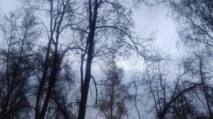 Творите  добро они нуждаются в вашей помощи - прогноз погоды от волшебника 6 ноября