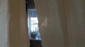 Утеплила колодец 🚰//сломался утюжок😥