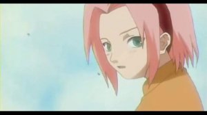 AMV клип - Konoha Cat Fight