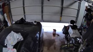 NEW! America′s Funniest Home Videos. Epic Fails Only 😂 Try Not to Laugh Challenge