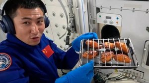 Китайские космонавты приготовили барбекю на орбитальной станции