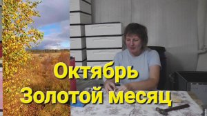 ОКТЯБРЬ.Тур выходного для по Липецкой области.