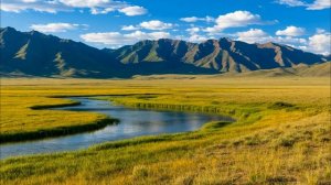 -Получила повышение и квартиру от тетки, так теперь с родней не хочешь общаться_-кричала мне золовка