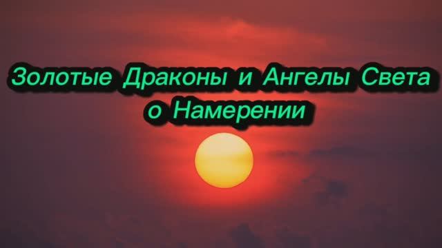 Золотые Драконы и Ангелы Света о Намерении 13.10.2025г (165 Послание)
