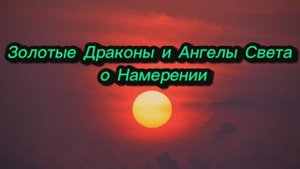 Золотые Драконы и Ангелы Света о Намерении 13.10.2025г (165 Послание)