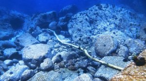 Острова Верховского- первый выход.