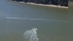 Отправил жену покататься