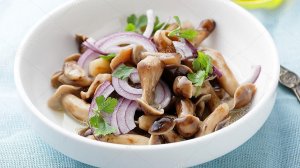 Грибы соленые быстрого приготовления на ЗИМУ Горячим способом в банках